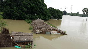 bihar-flood-pic5